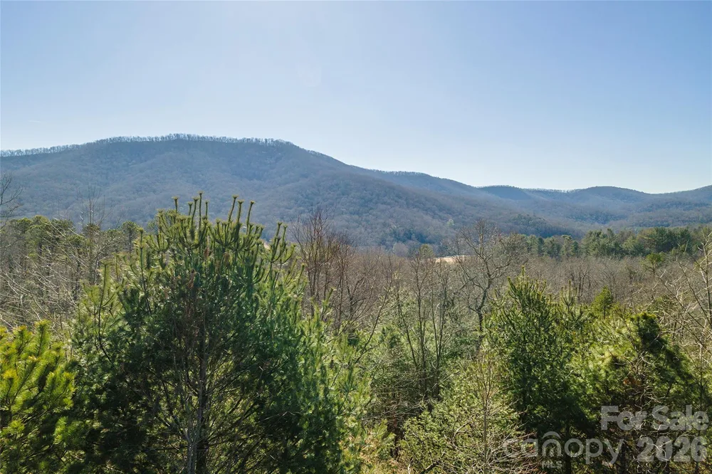 99999 Woodhen Way #138 & 139 Horse Shoe, NC 28742
