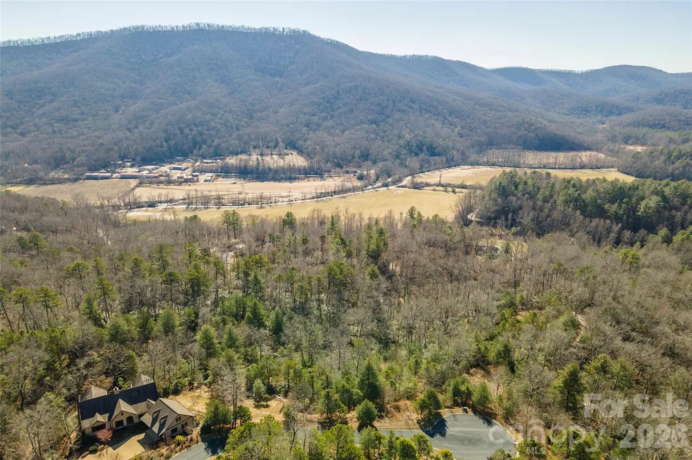 99999 Woodhen Way #138 & 139 Horse Shoe, NC 28742