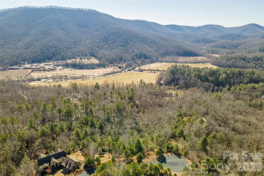 99999 Woodhen Way #138 & 139 Horse Shoe, NC 28742