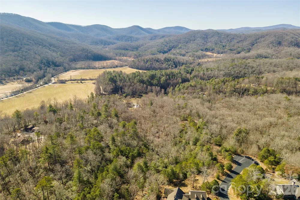 99999 Woodhen Way #138 & 139 Horse Shoe, NC 28742