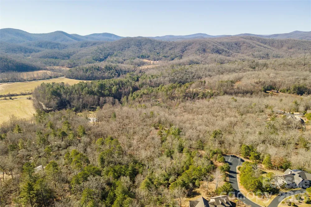 99999 Woodhen Way #138 & 139 Horse Shoe, NC 28742