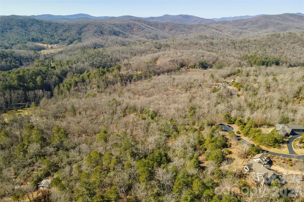 99999 Woodhen Way #138 & 139 Horse Shoe, NC 28742