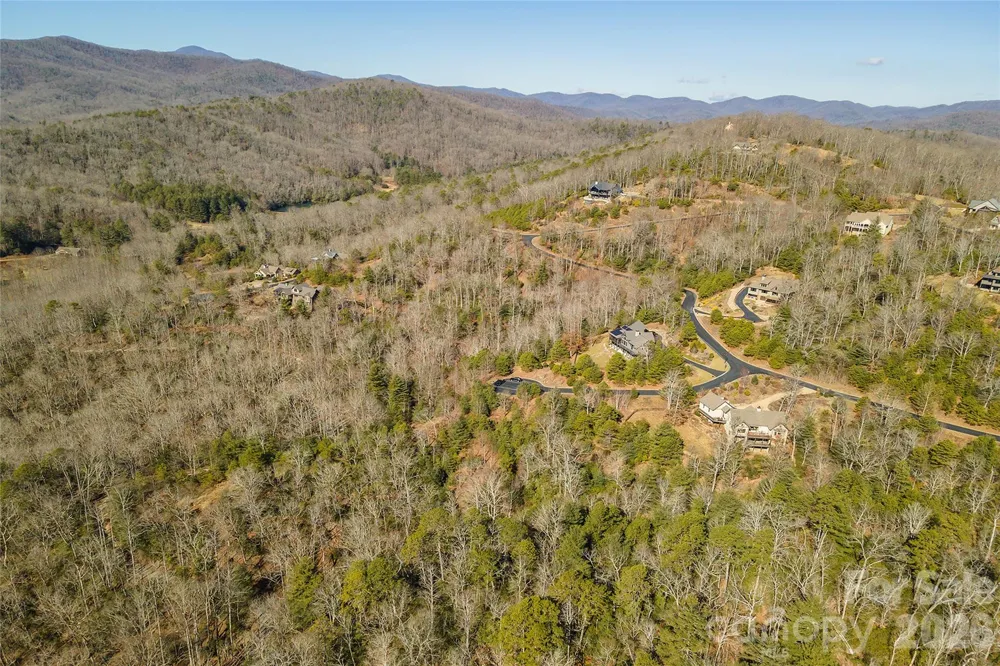 99999 Woodhen Way #138 & 139 Horse Shoe, NC 28742