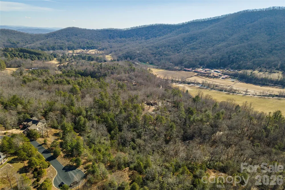 99999 Woodhen Way #138 & 139 Horse Shoe, NC 28742