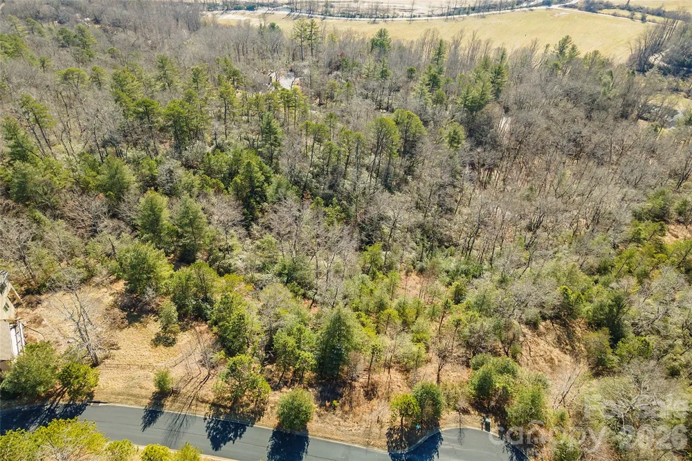 99999 Woodhen Way #138 & 139 Horse Shoe, NC 28742