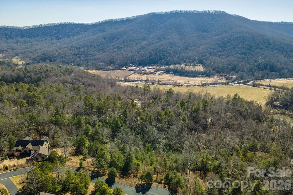 99999 Woodhen Way #138 & 139 Horse Shoe, NC 28742