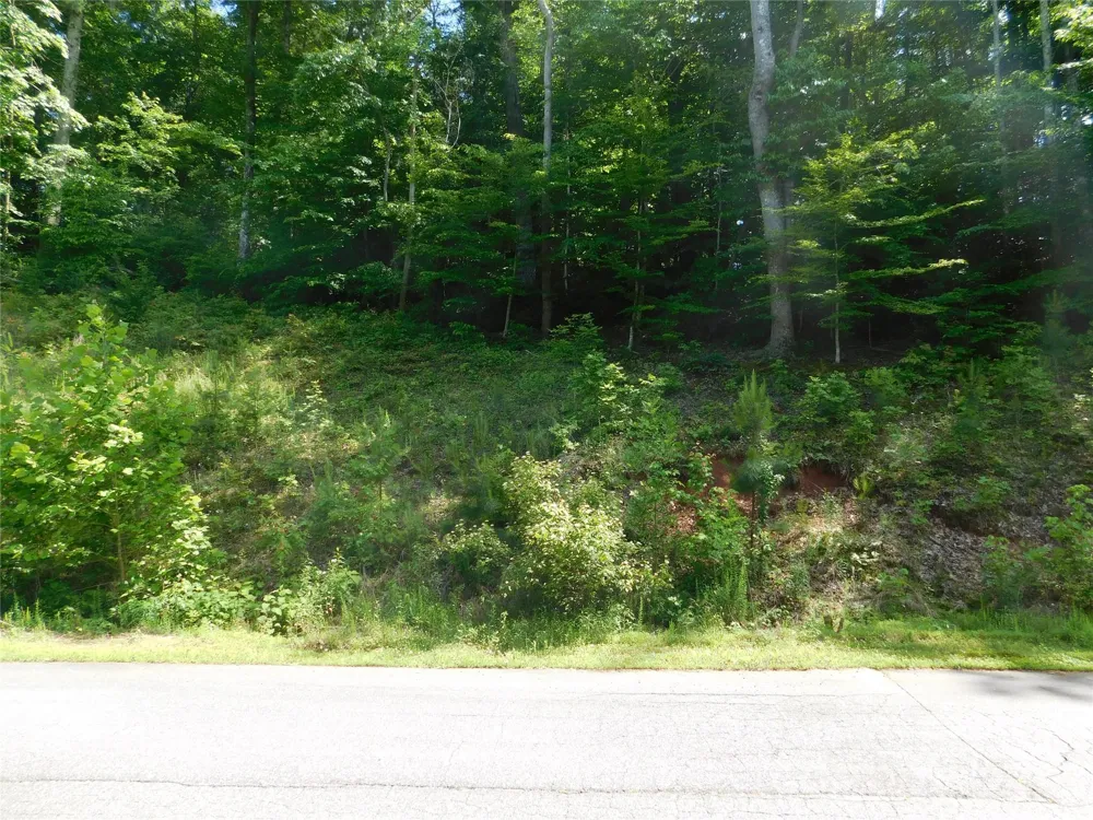 305 E Settings Boulevard NW #95 Valdese, NC 28690