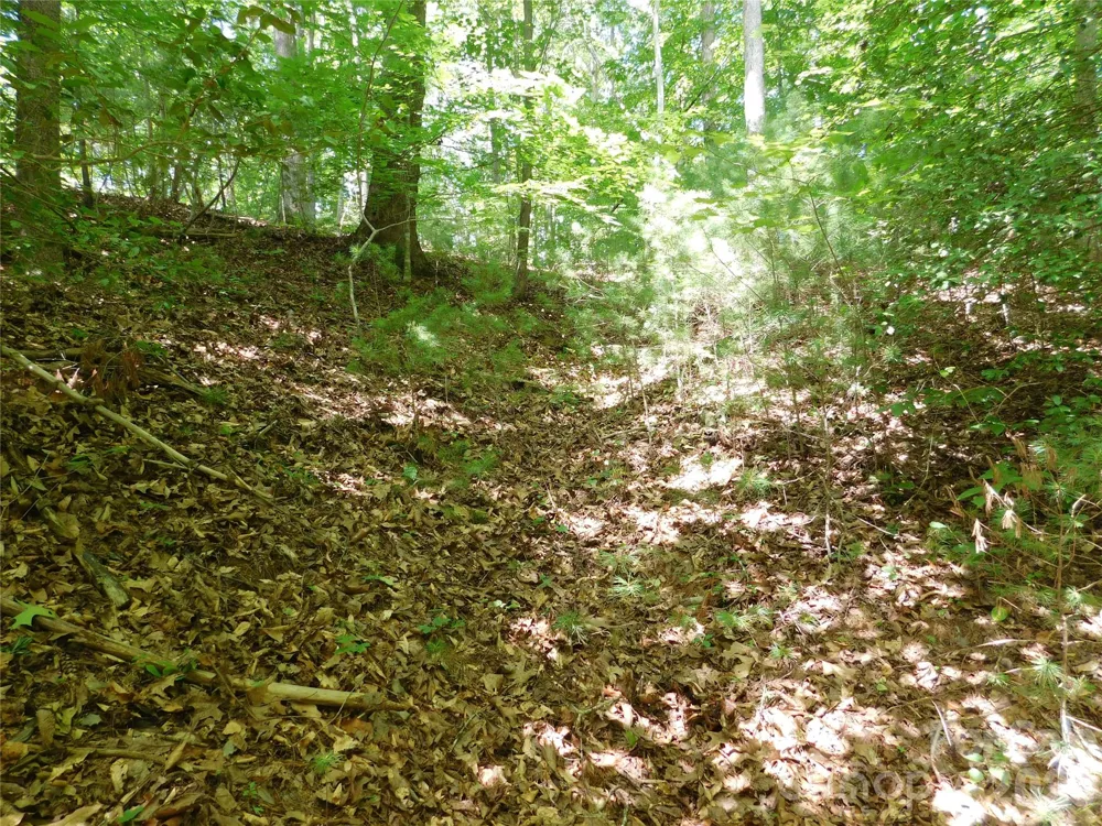 305 E Settings Boulevard NW #95 Valdese, NC 28690
