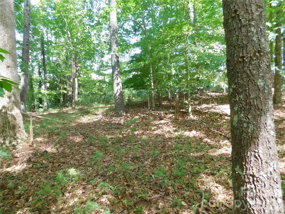 305 E Settings Boulevard NW #95 Valdese, NC 28690