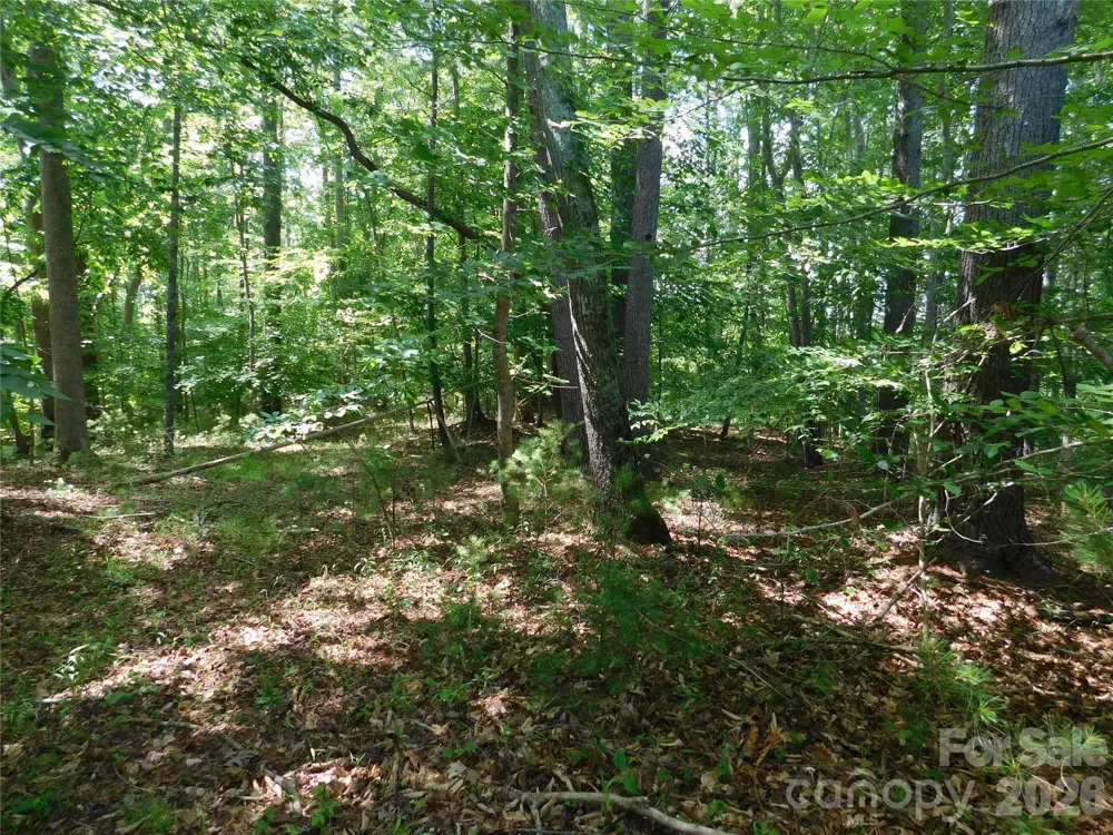 305 E Settings Boulevard NW #95 Valdese, NC 28690
