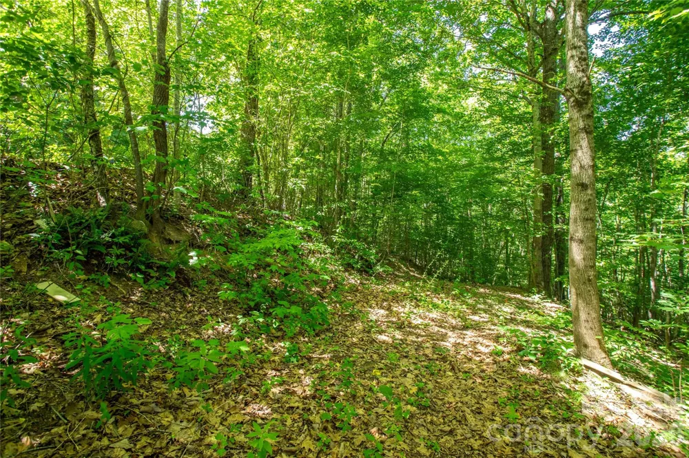 71 Timberwood Drive Asheville, NC 28806