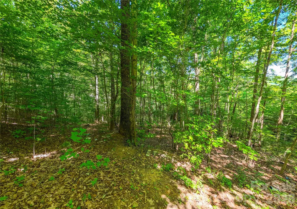 71 Timberwood Drive Asheville, NC 28806