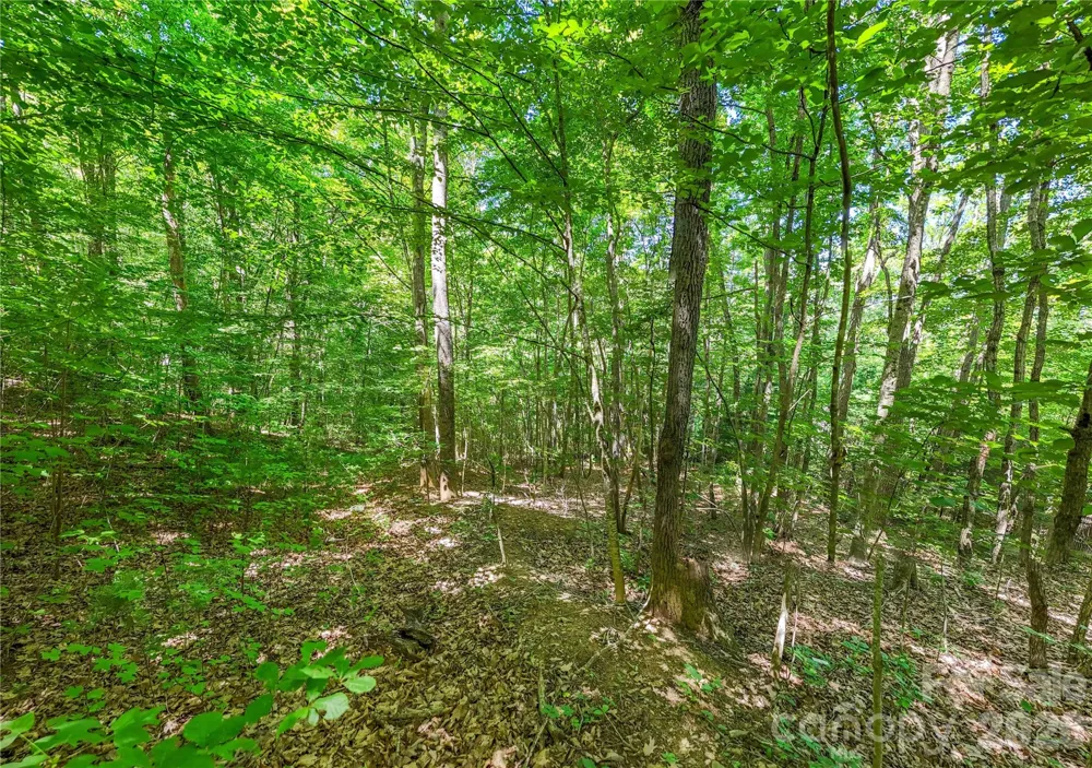 71 Timberwood Drive Asheville, NC 28806