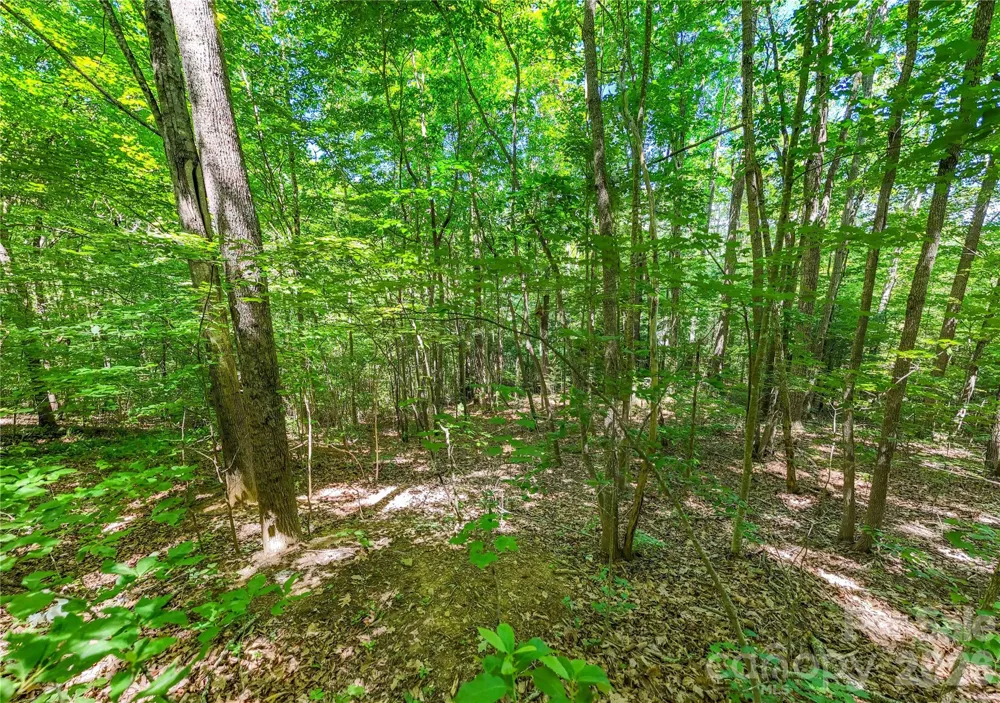 71 Timberwood Drive Asheville, NC 28806
