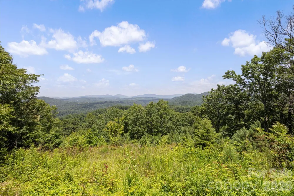 354 Boulder View Drive Flat Rock, NC 28731
