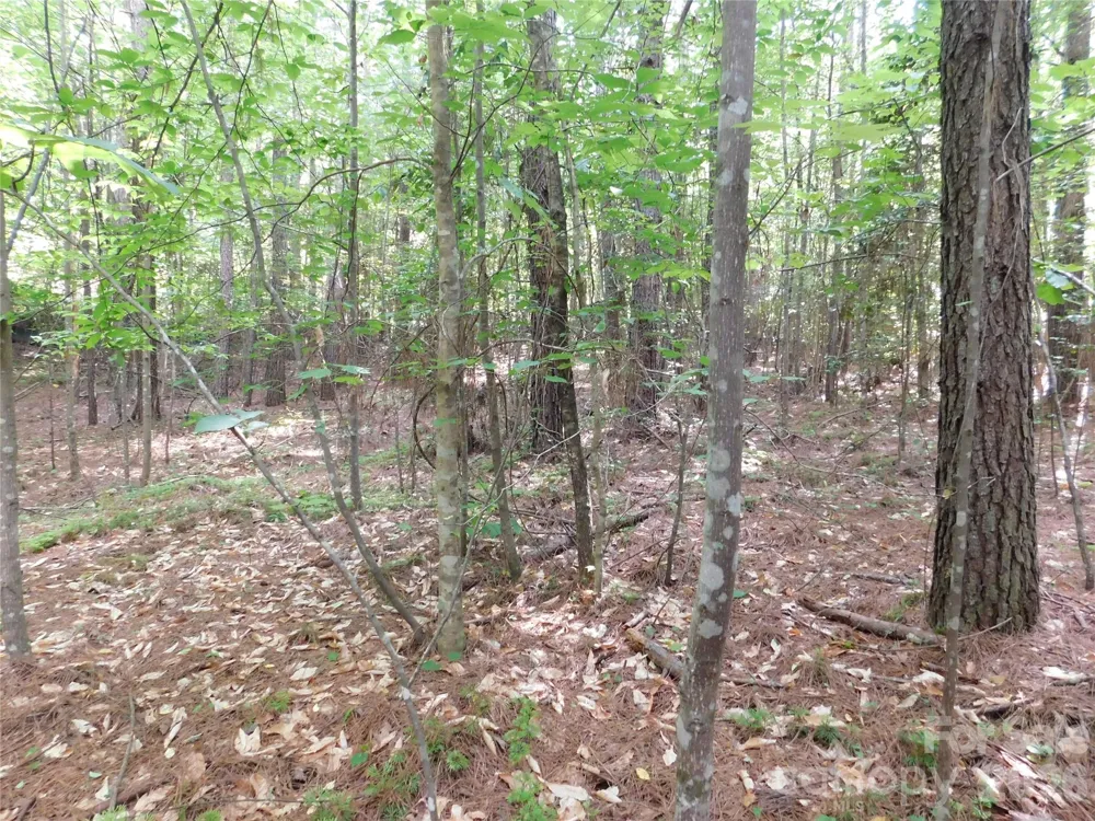 207 W Settings Boulevard NW Valdese, NC 28690
