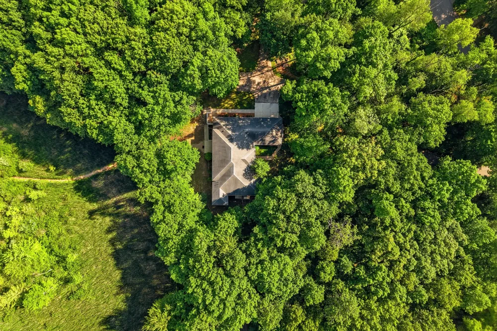 7544 Lake Hollow Court Dexter, MI 48130