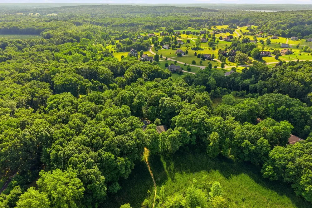 7544 Lake Hollow Court Dexter, MI 48130