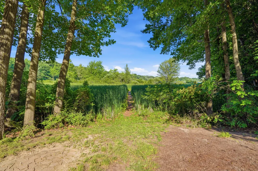 7544 Lake Hollow Court Dexter, MI 48130