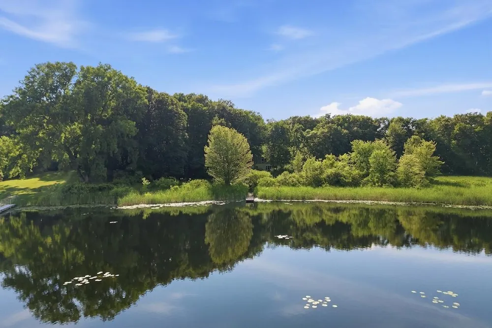 7544 Lake Hollow Court Dexter, MI 48130