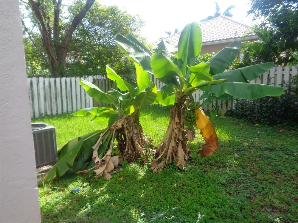 10939 W Broward Boulevard #10939 Plantation, FL 33324