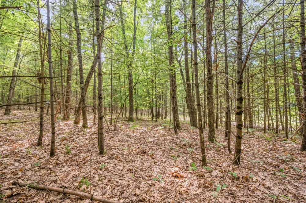 15 W 12 Mile Road Irons, MI 49644