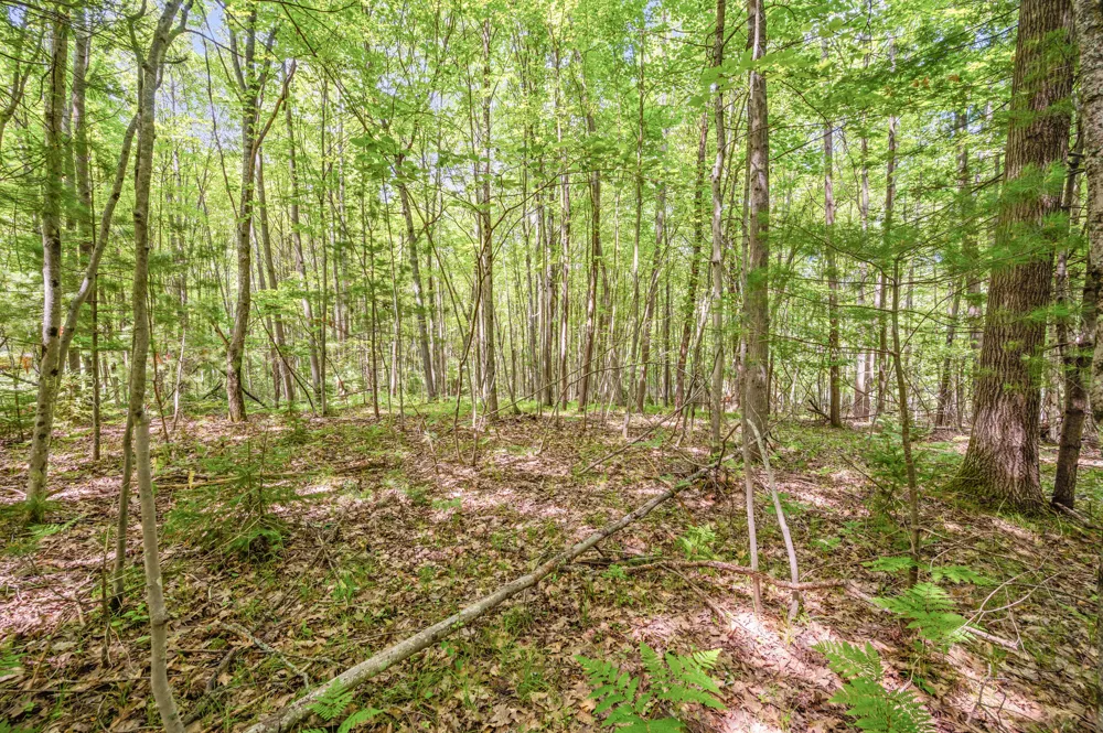 15 W 12 Mile Road Irons, MI 49644