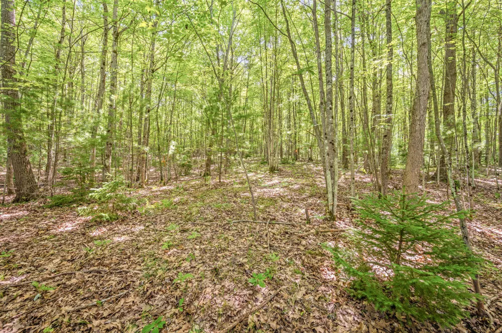15 W 12 Mile Road Irons, MI 49644