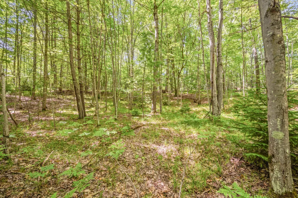 15 W 12 Mile Road Irons, MI 49644