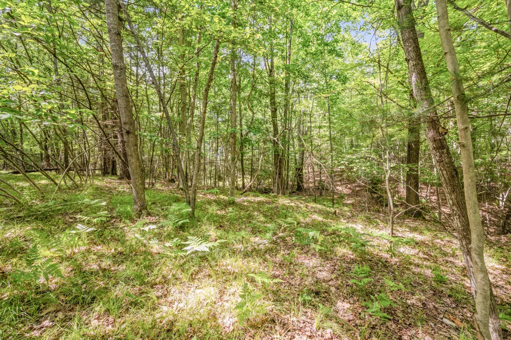 15 W 12 Mile Road Irons, MI 49644