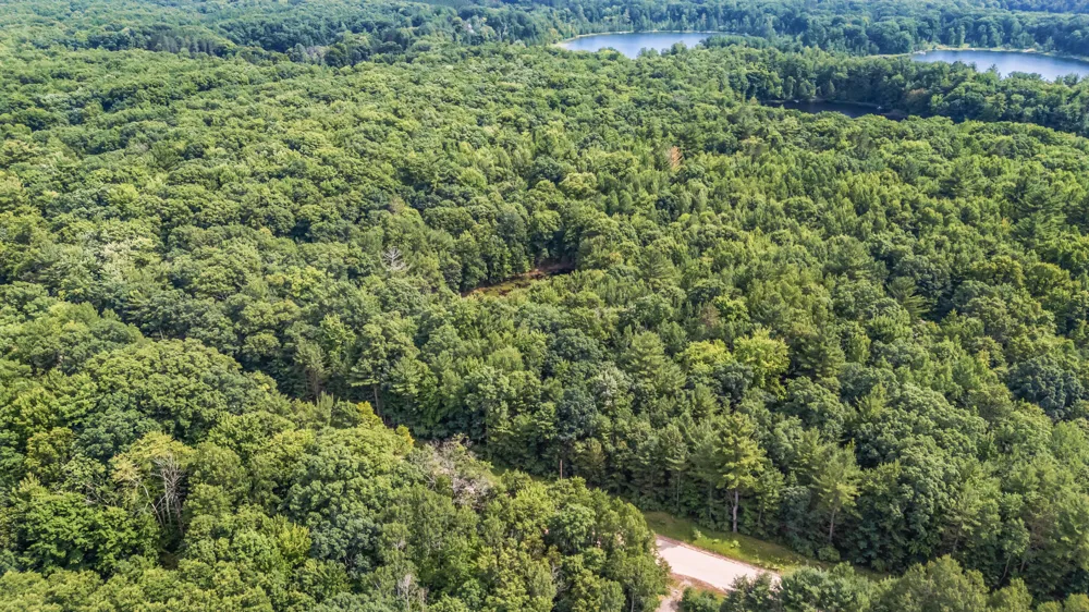 15 W 12 Mile Road Irons, MI 49644