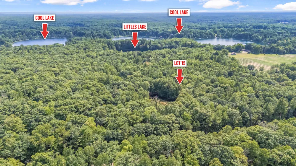 15 W 12 Mile Road Irons, MI 49644