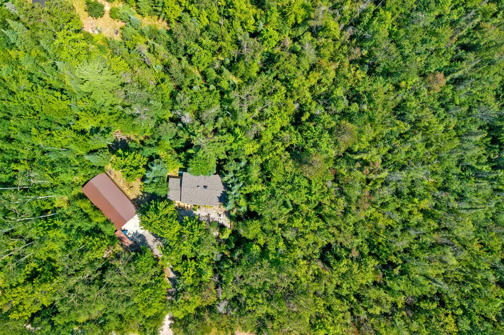 15355 Larry Road Hillman, MI 49746