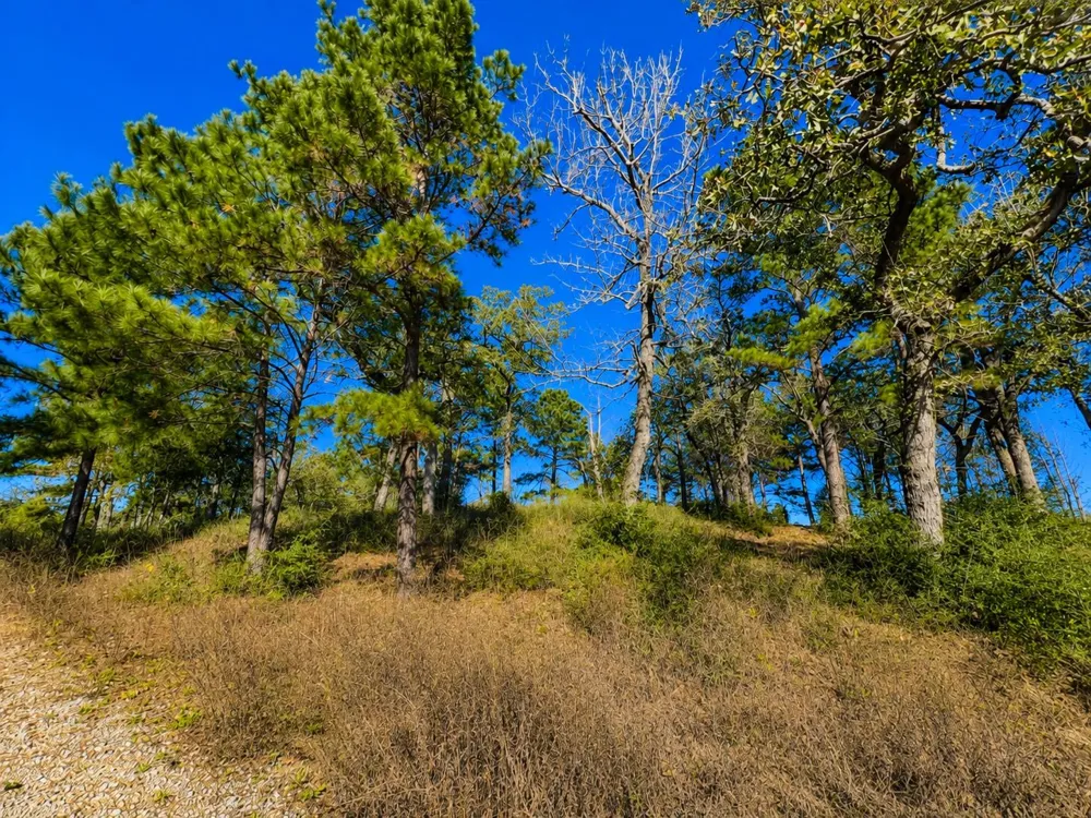 112 Pr 1313 Centerville, TX 75833