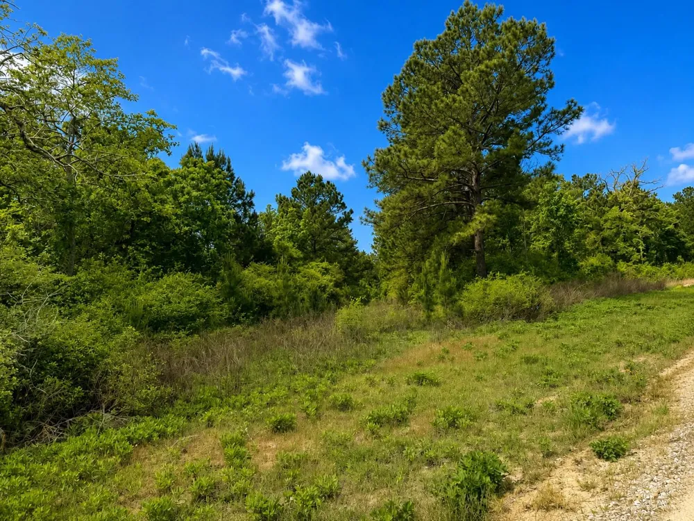 14 Cr 114 Centerville, TX 75833