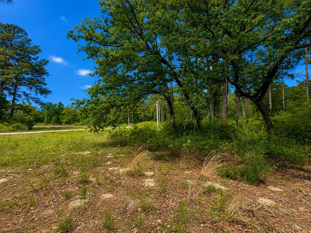 14 Cr 114 Centerville, TX 75833