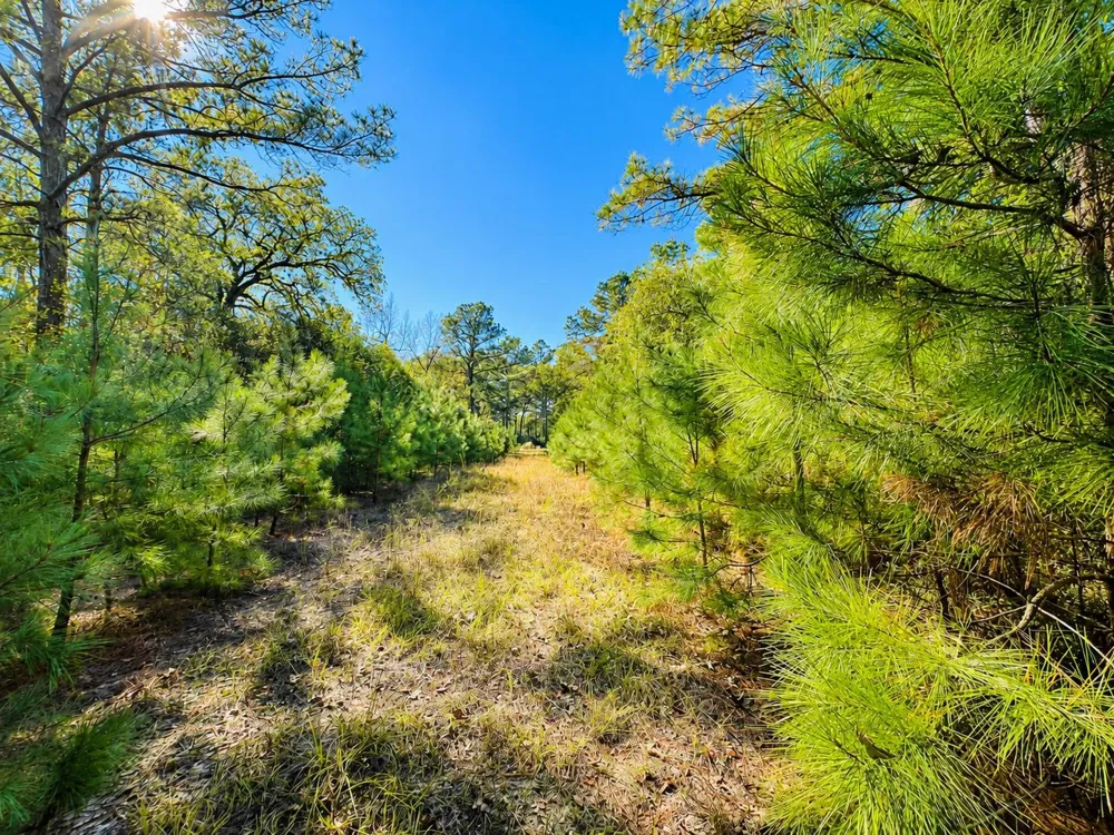 14 Cr 114 Centerville, TX 75833