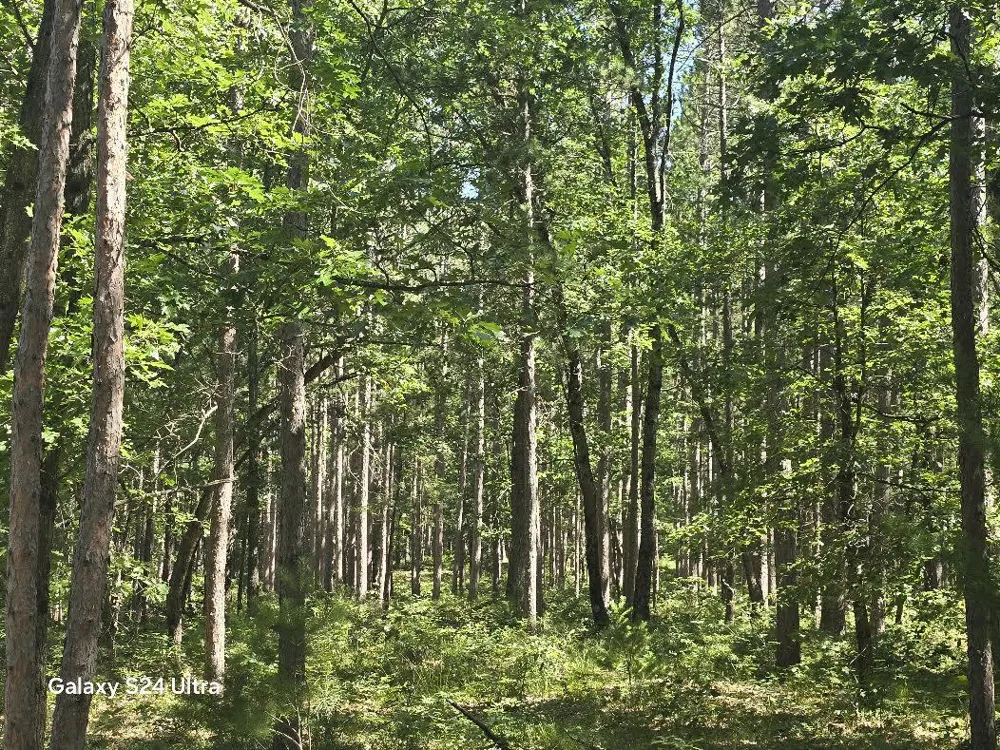 3875 Skocelas Road S Manistee, MI 49660