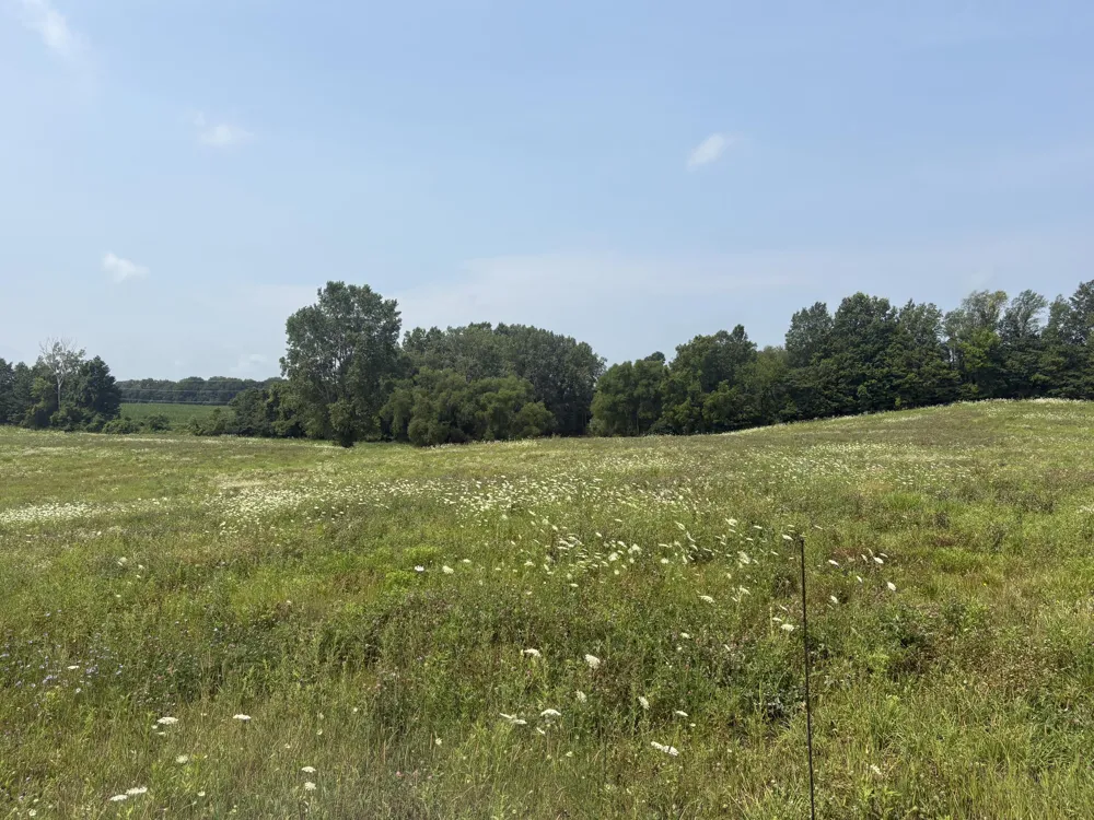 210 W Wagner Road Buchanan, MI 49107