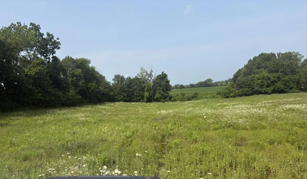 210 W Wagner Road Buchanan, MI 49107