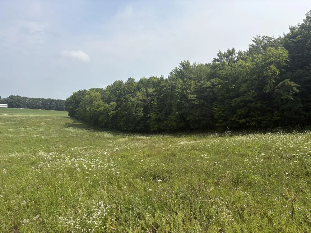 210 W Wagner Road Buchanan, MI 49107