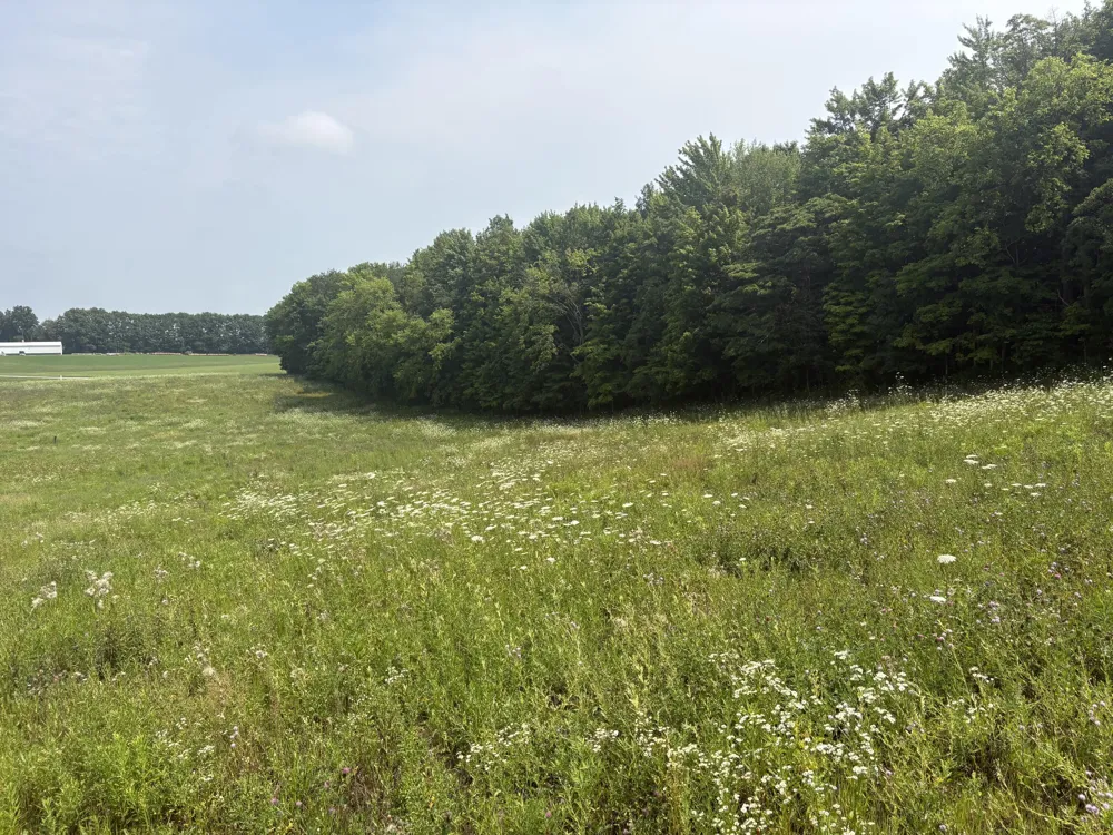 210 W Wagner Road Buchanan, MI 49107
