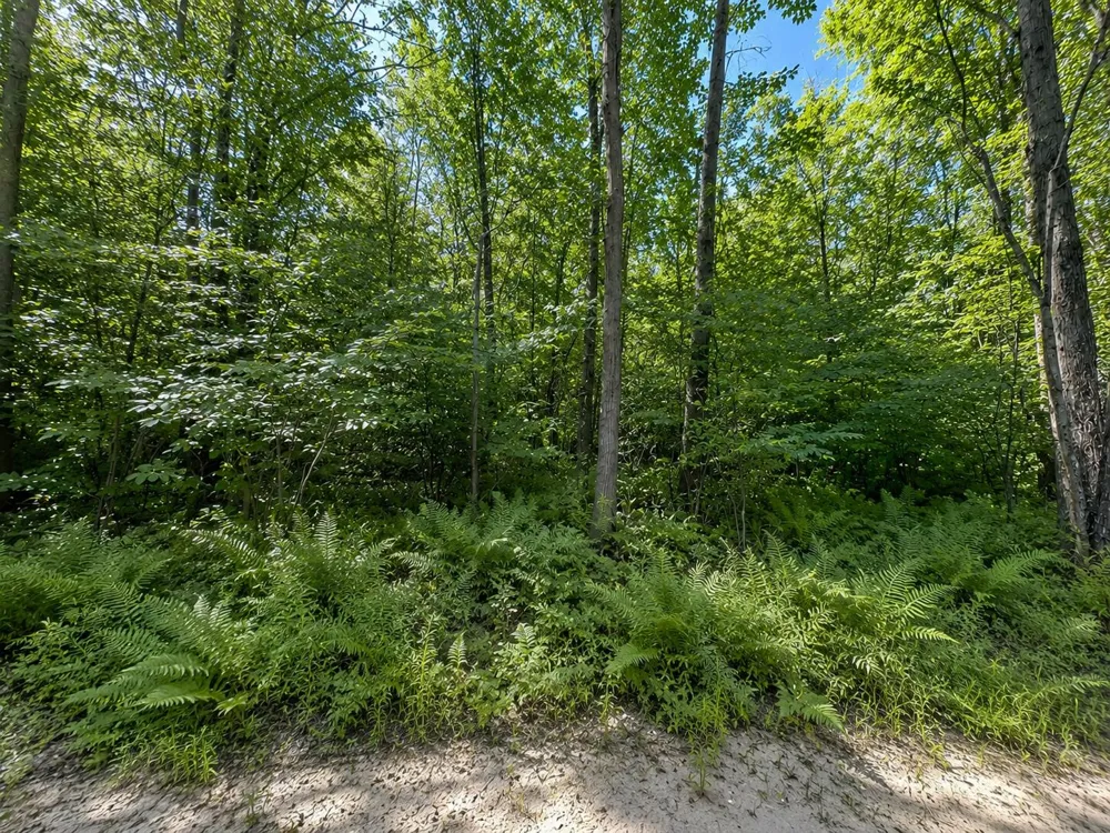 3181 53rd Street Grand Junction, MI 49056