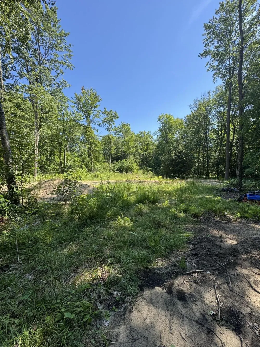 3181 53rd Street Grand Junction, MI 49056