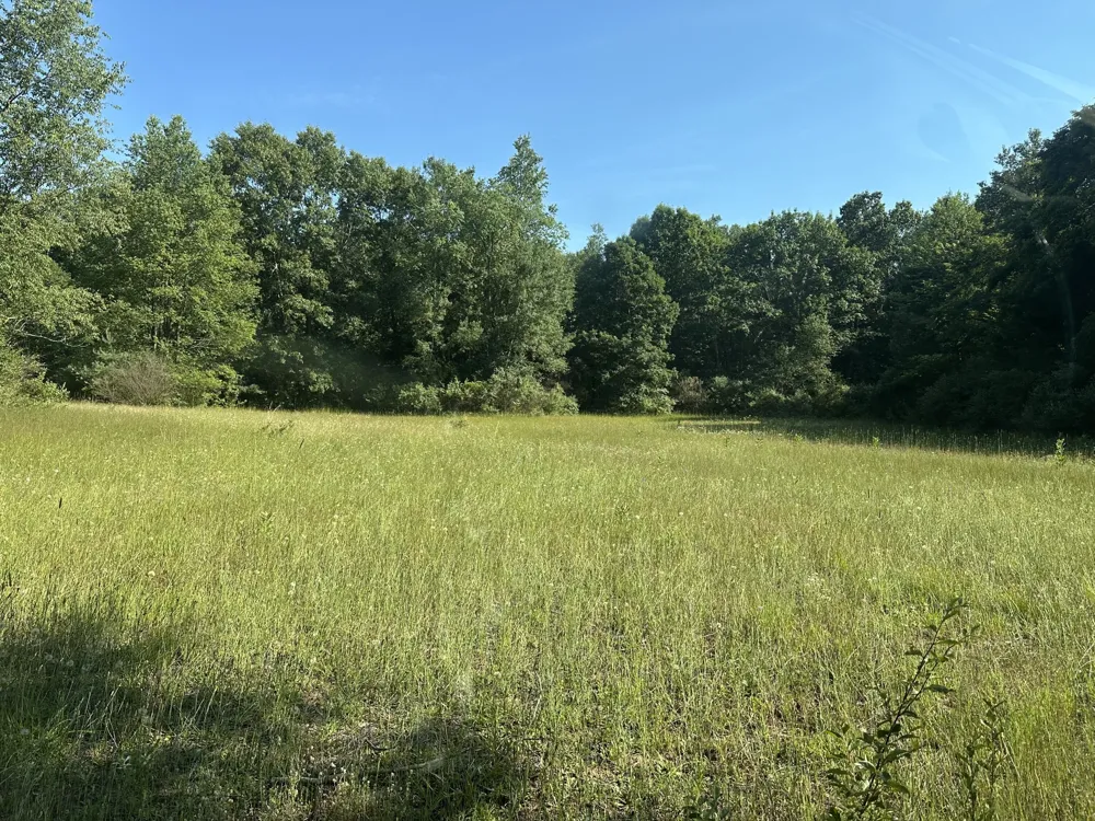 5372 W 8th Fremont, MI 49412