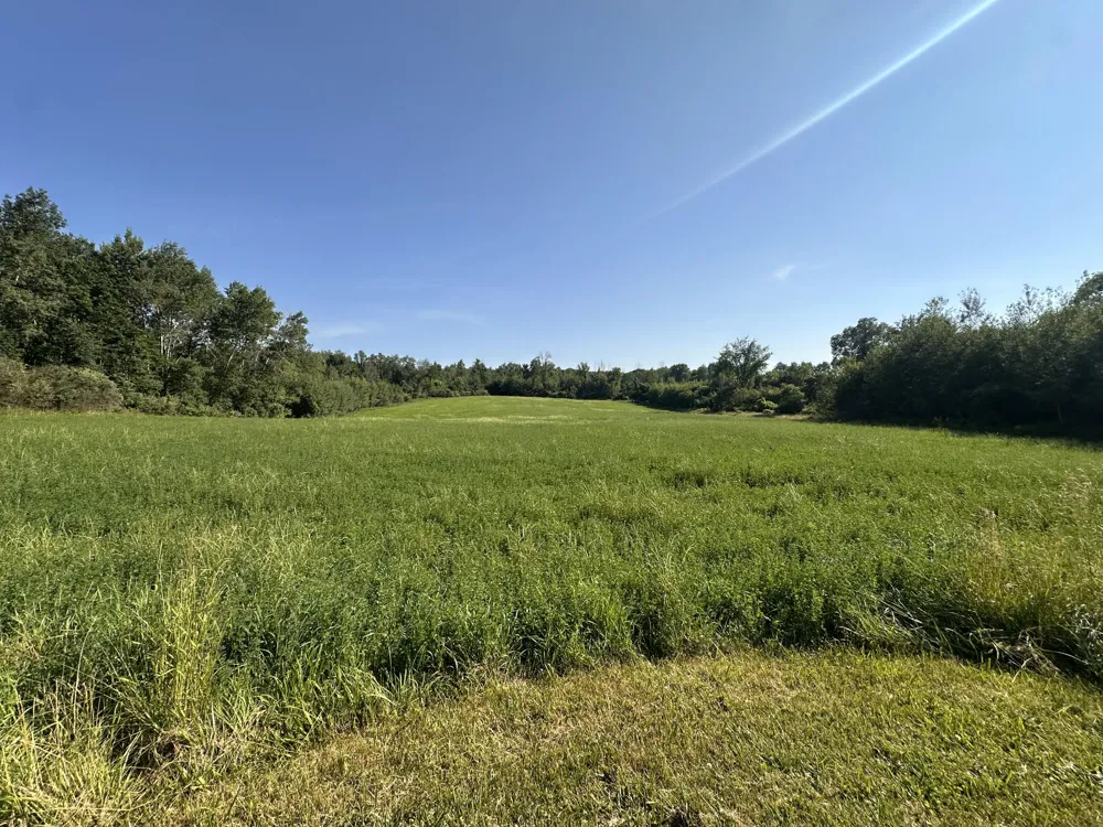 5372 W 8th Fremont, MI 49412