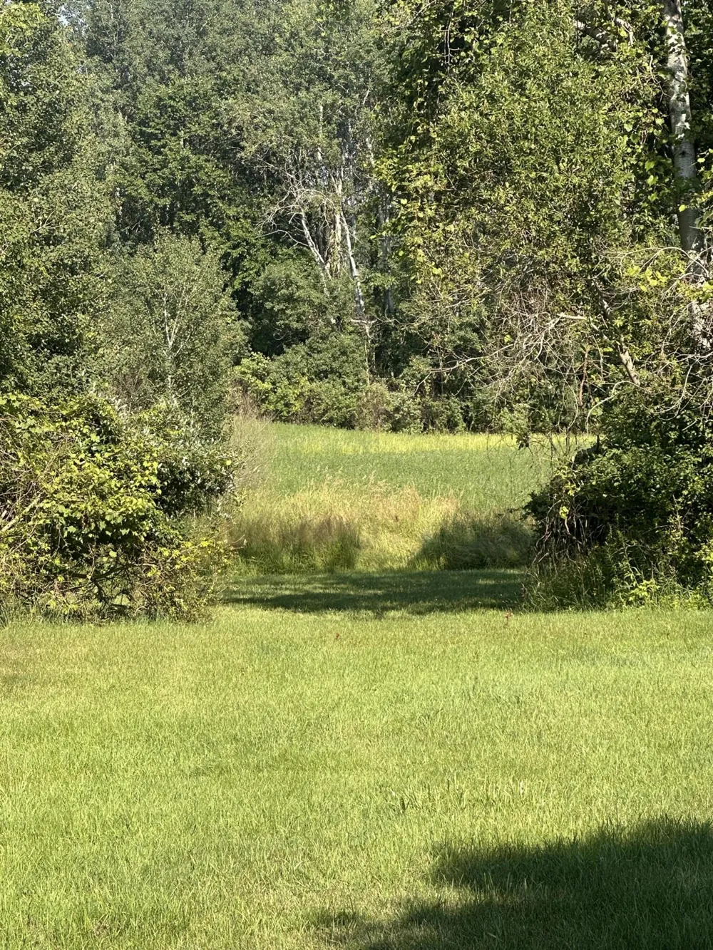 5372 W 8th Fremont, MI 49412