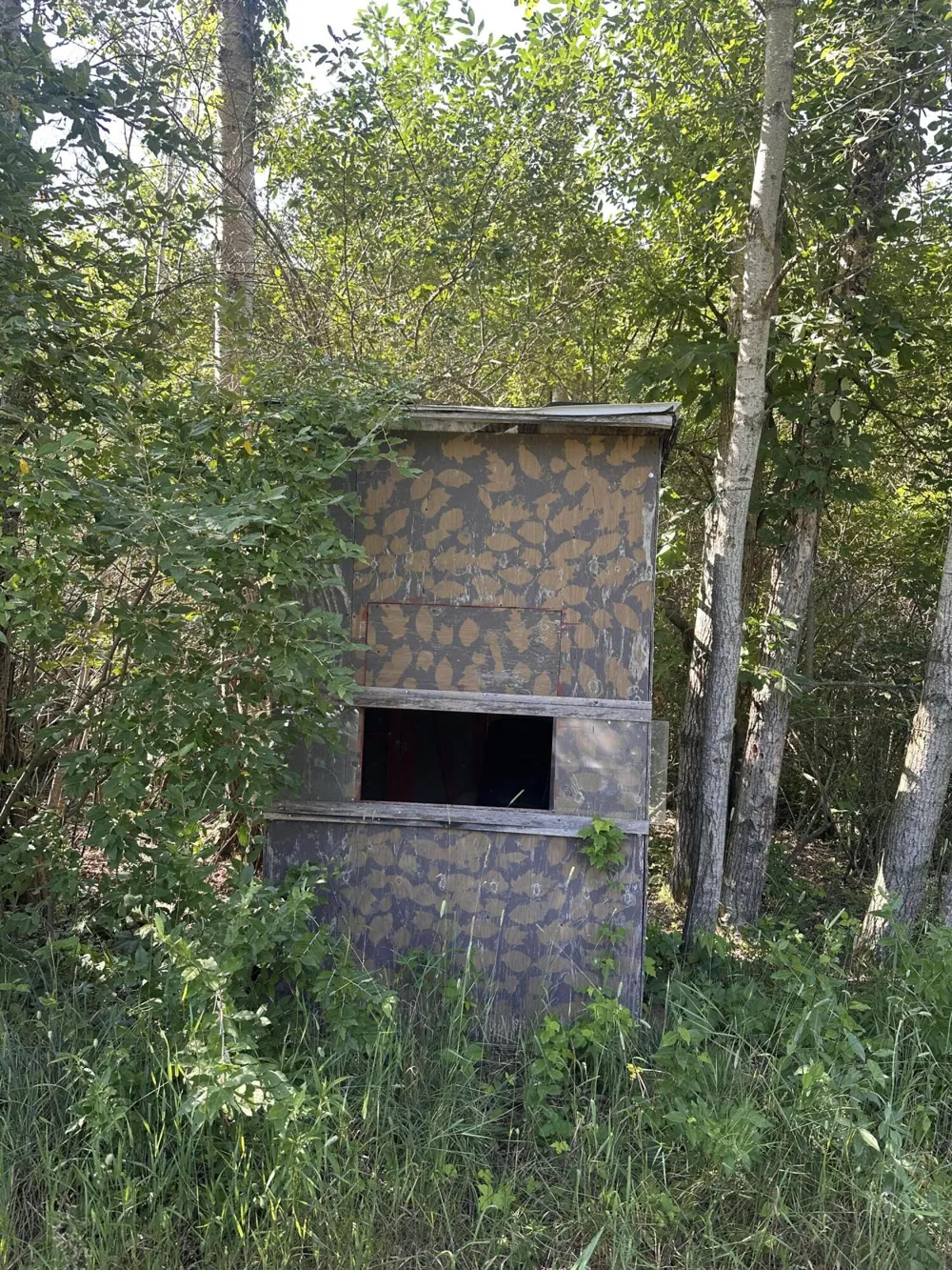 5372 W 8th Fremont, MI 49412