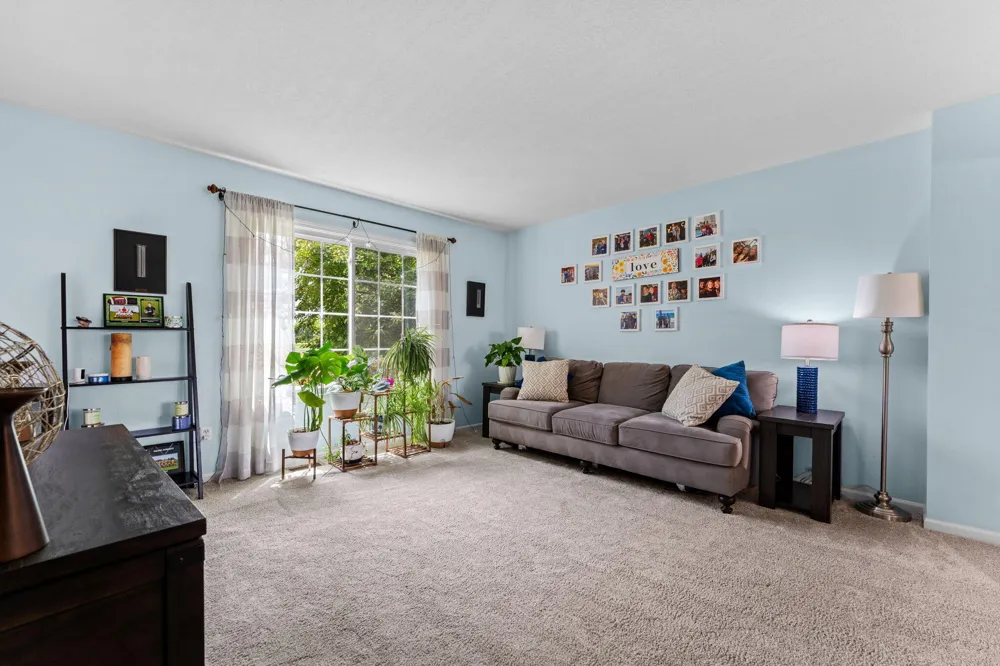 9128 Meadow View Lane Saline, MI 48176