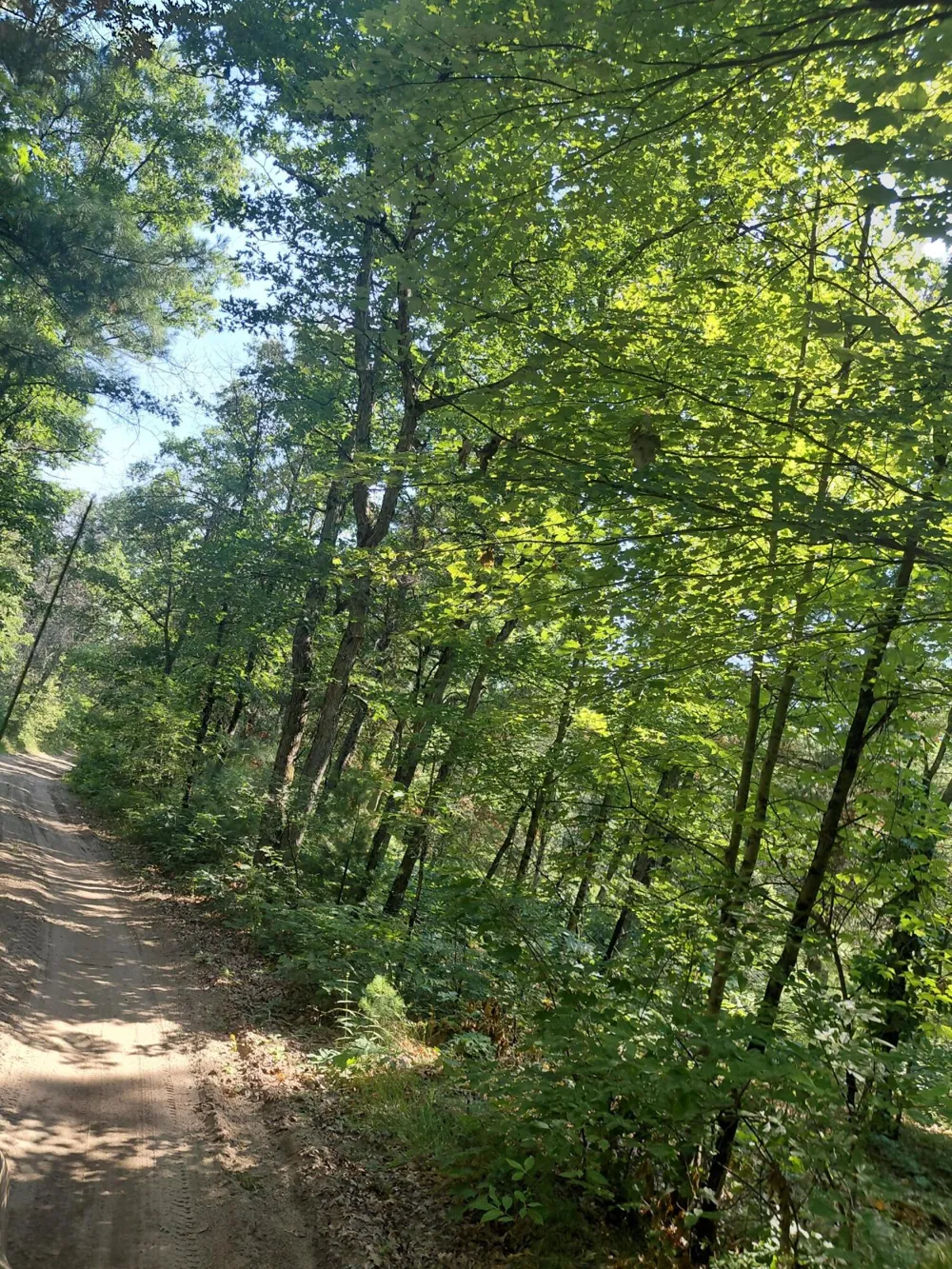 2807 S Evergreen White Cloud, MI 49349
